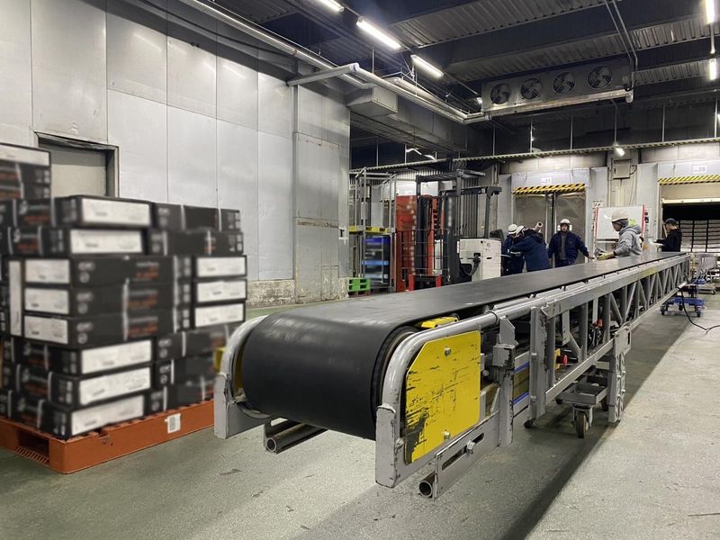 エス・ティー・サポート株式会社の求人・転職情報