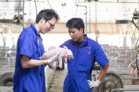 タローファーム株式会社