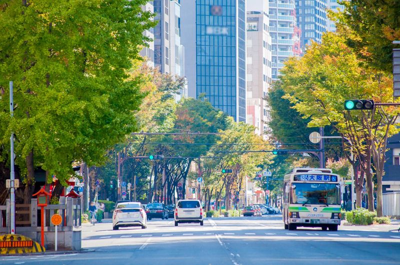 株式会社ケイエムアドシステムの求人・転職情報