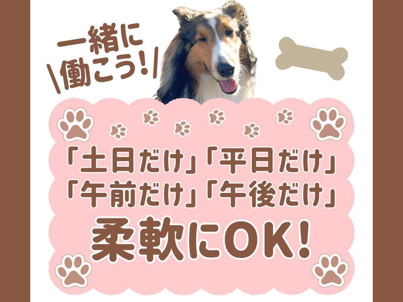 株式会社スペック・エスの求人・転職情報