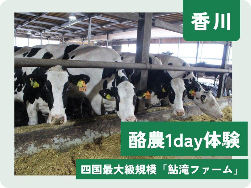 酪農1Day仕事体験