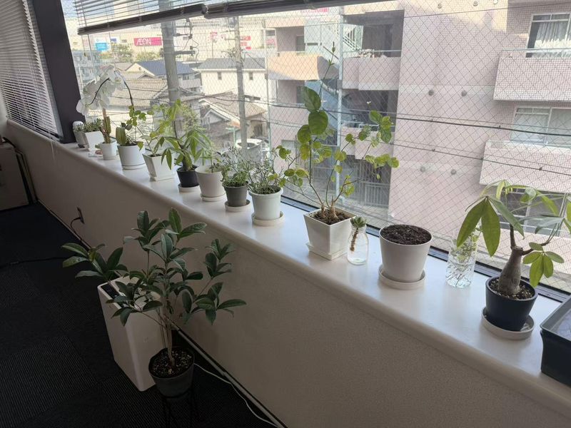 茗鷹善株式会社の求人・転職情報