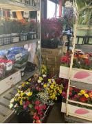 株式会社甲華園の求人・転職情報