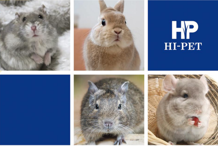 ハイペット株式会社の求人・転職情報