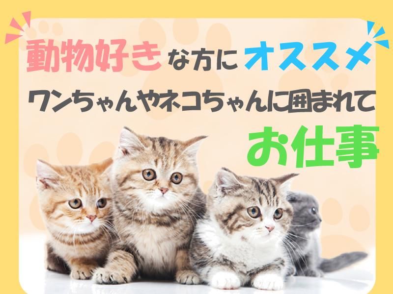 Animal World NICOPET　長岡店のアルバイト・バイト求人情報-02