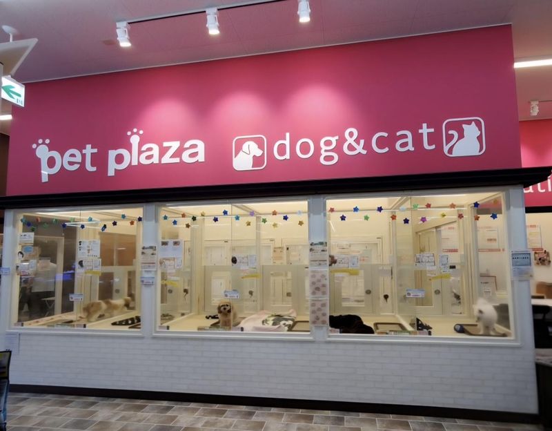 ペットプラザ 西東京田無店のアルバイト・バイト求人情報-02