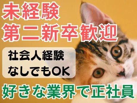 株式会社トムキャットの求人・転職情報