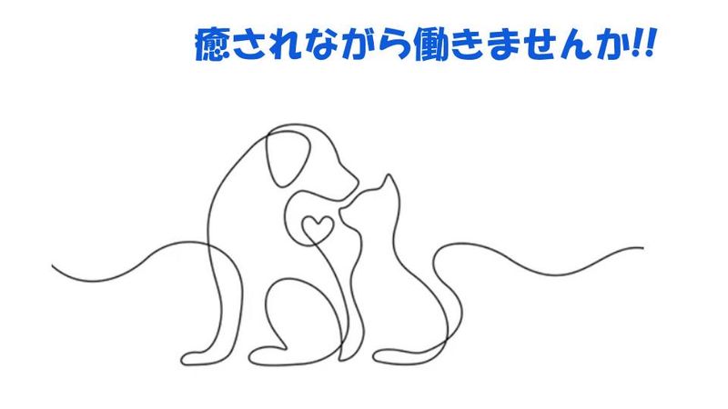 株式会社レックスの求人・転職情報