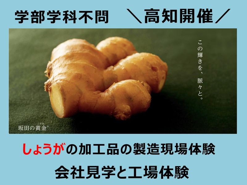 【製造業務希望者向け】会社説明会&リアル製造現場体験(1日)