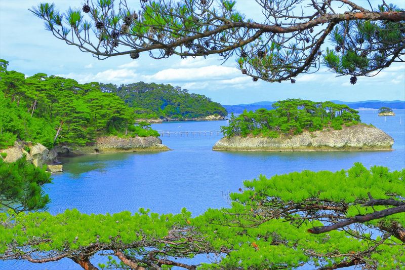 株式会社サーベイリサーチセンター　東北事務所(宮城県内調査チーム)のアルバイト・バイト求人情報-04