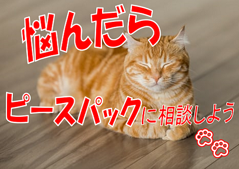 株式会社ピースパック・鷲津のアルバイト・バイト求人情報-03