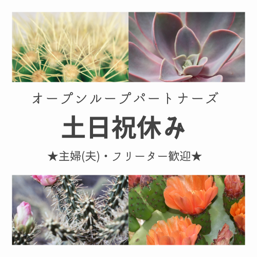 p11260601601のアルバイト・バイト求人情報-13