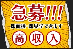 株式会社マイニングの求人2