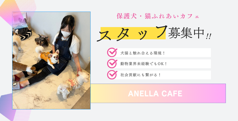 株式会社M-Bridgeの求人・転職情報