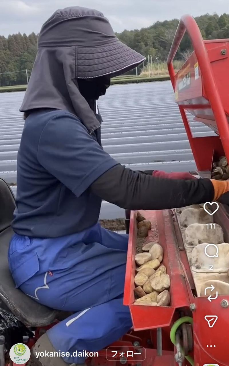 株式会社山英野菜-0001の求人・転職情報