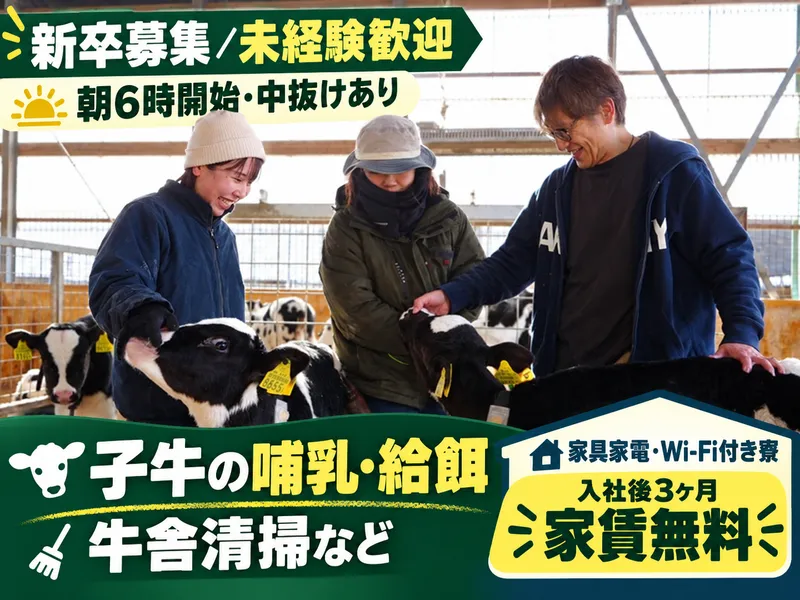 株式会社しらかば牧場の求人・転職情報