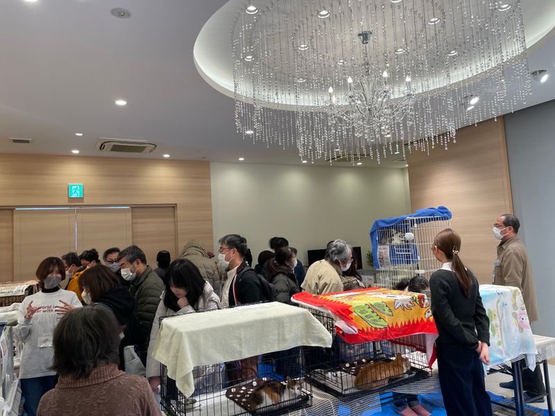 株式会社 樋口屋商店のアルバイト・バイト求人情報-08