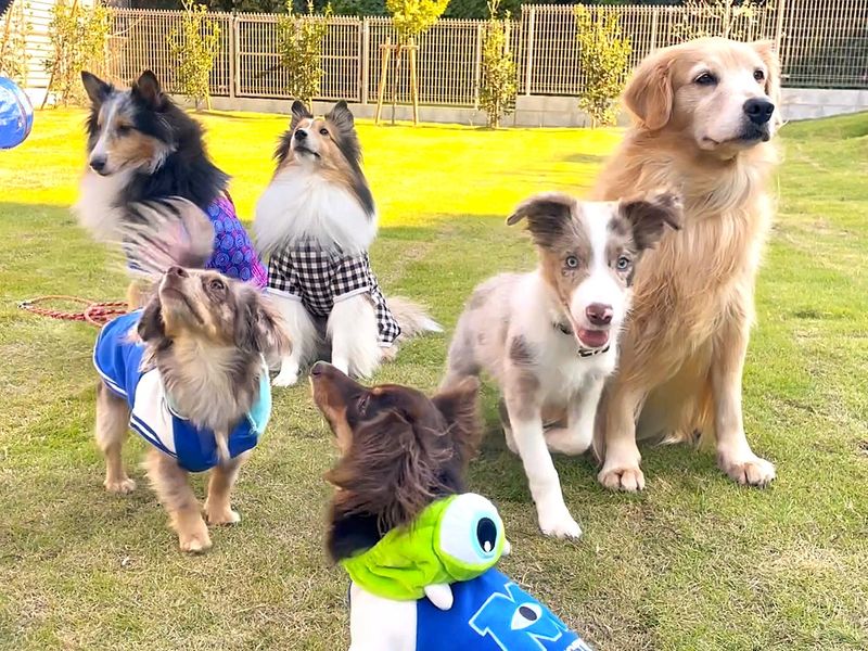 社会福祉法人きらめき会の求人・転職情報