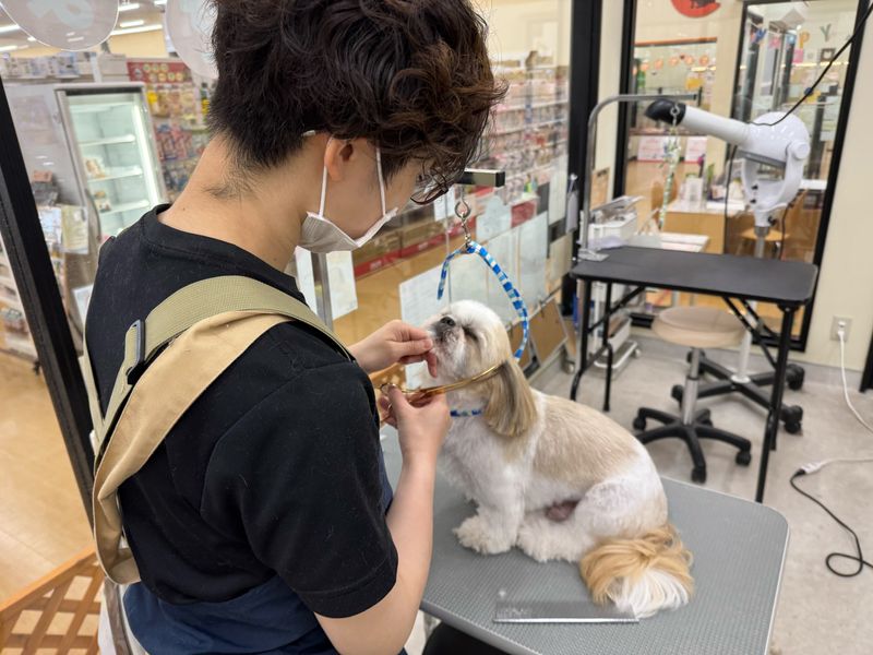 Smile Share株式会社の求人・転職情報