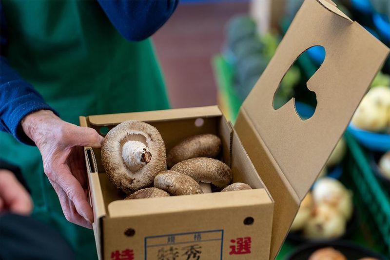 マルゴ青果株式会社　久米川店のアルバイト・バイト求人情報-04