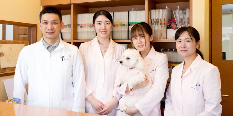 しろうま動物病院のアルバイト・バイト求人情報-03