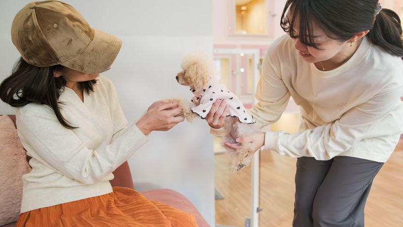 dog fun(株式会社MOCOCO)のアルバイト・バイト求人情報-05