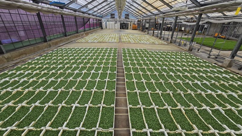 有限会社植木農園の求人・転職情報