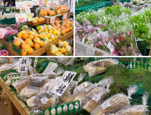 桂川街道 産直ひろばのアルバイト・バイト求人情報-02