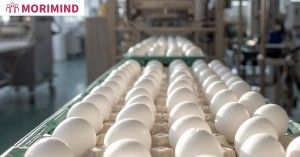 株式会社モリマインドの求人・転職情報