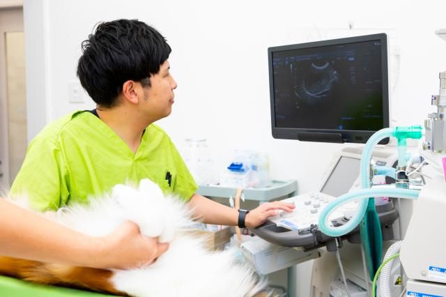 株式会社イオンペット-0022の求人・転職情報