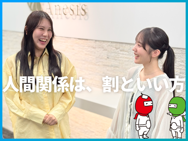 株式会社アネシス