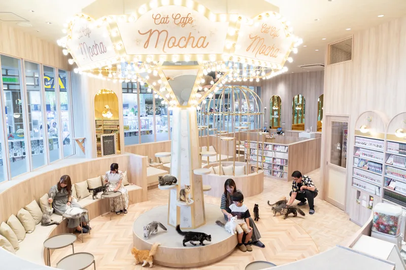猫カフェMOCHA(モカ)イオンモール羽生店のアルバイト・バイト求人情報