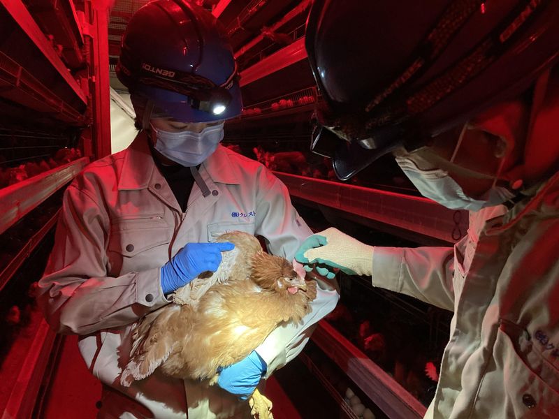 株式会社京葉ポートリー