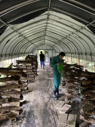 社会福祉法人心友会 しいのみ園の求人・転職情報-04