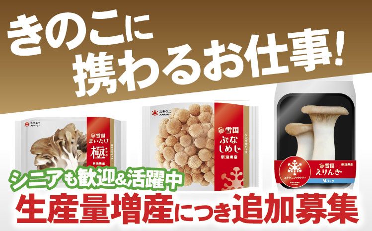 ユキグニファクトリー株式会社の求人・転職情報