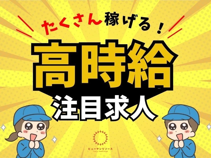 デベロップ株式会社 ヒューマンリソースの派遣求人情報