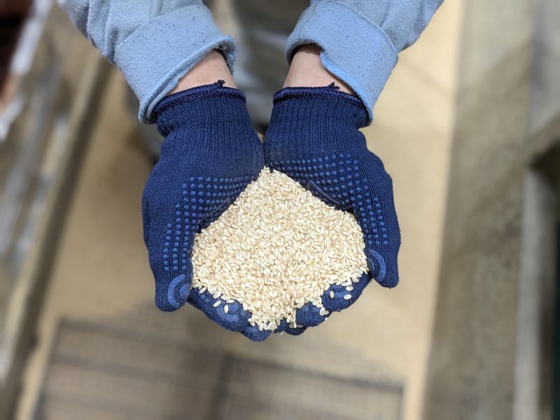 株式会社ヤマイチライス-0002の求人・転職情報