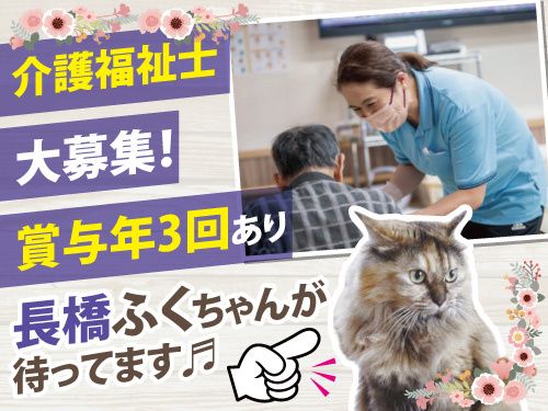 有限会社メルシーの求人・転職情報