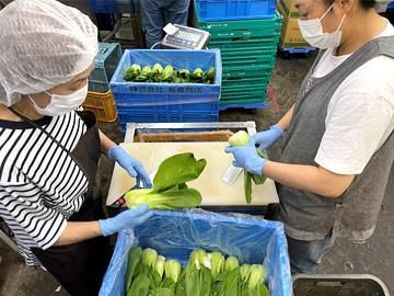 株式会社有倉商店/市川支社のアルバイト・バイト求人情報-04