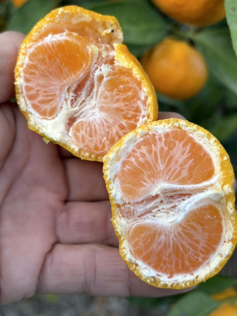 たしろみかん園のアルバイト・バイト求人情報-03