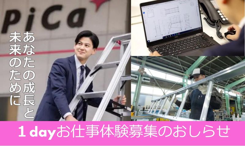 株式会社ピカコーポレイション