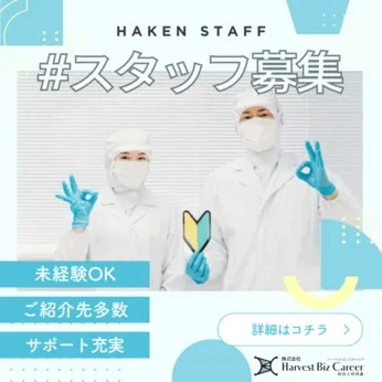 株式会社Harvest Biz Careerのアルバイト・バイト求人情報