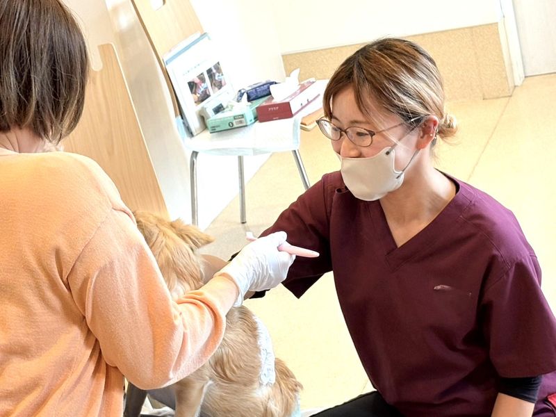 桑原動物病院のアルバイト・バイト求人情報-03