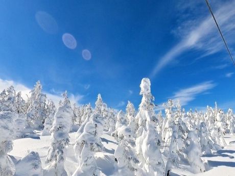 株式会社ヒューマニック