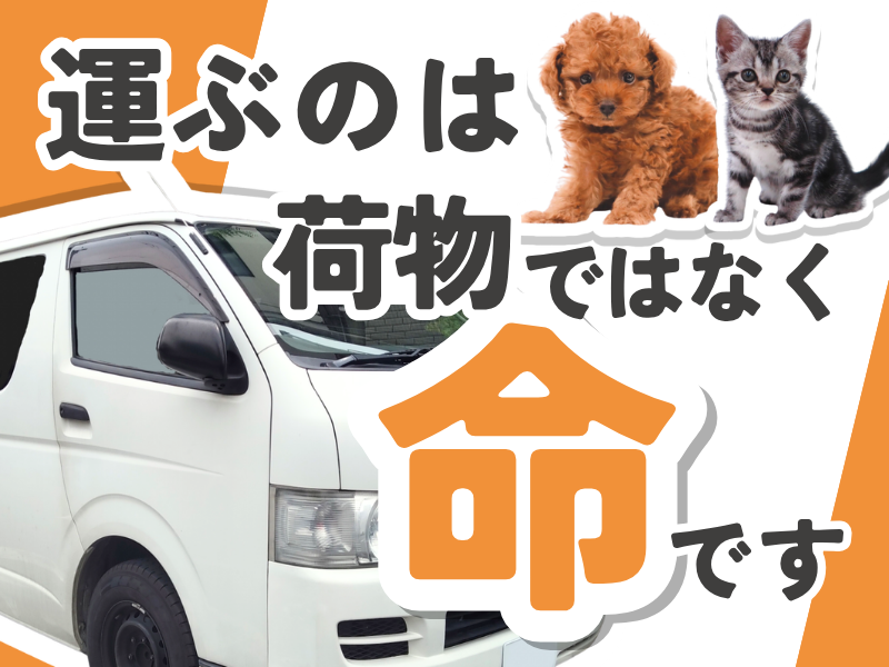 株式会社コーワペッツコーポレーションの求人・転職情報