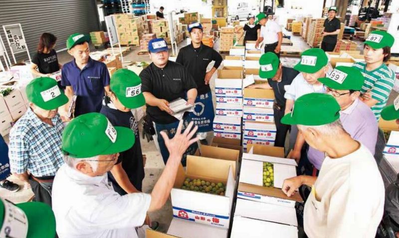 株式会社天童青果市場の求人・転職情報