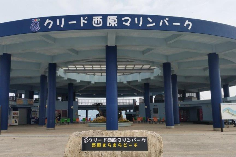 株式会社クリード 沖縄の求人・転職情報