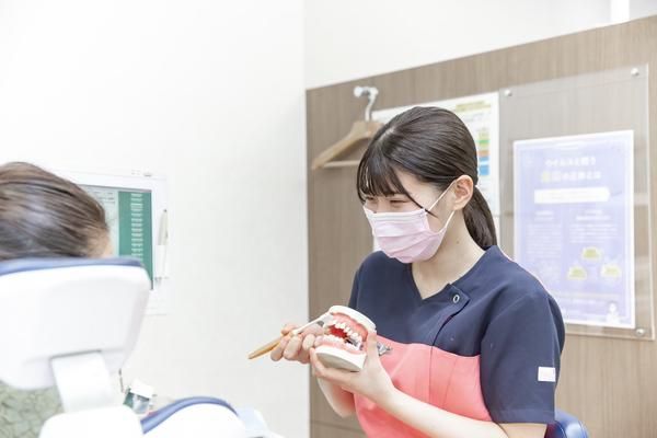 もりかわ歯科志紀診療所<医療法人甦歯会>のアルバイト・バイト求人情報-02