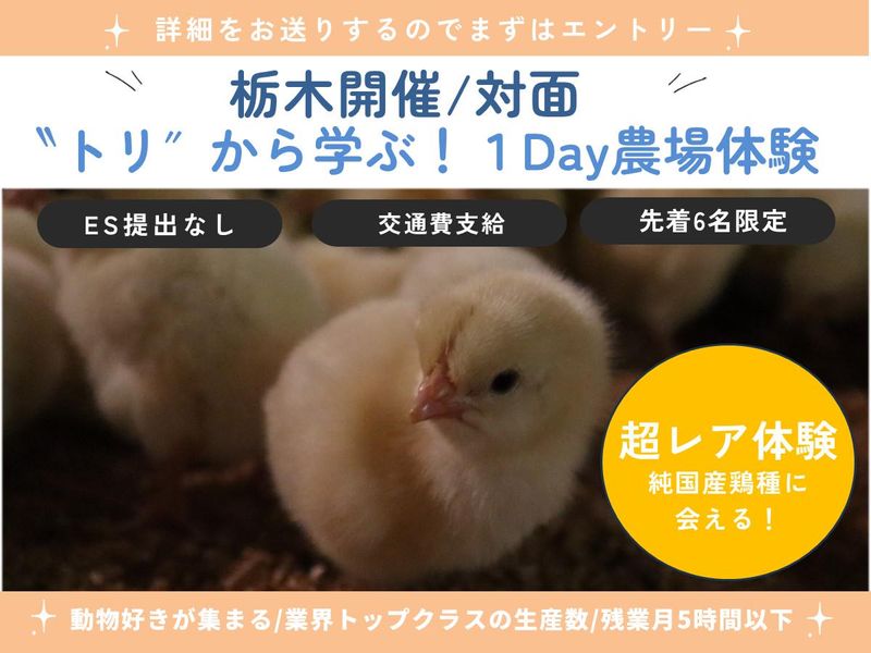 株式会社イシイ