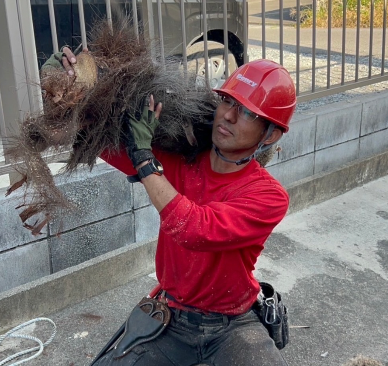 セルフ石油株式会社の求人・転職情報